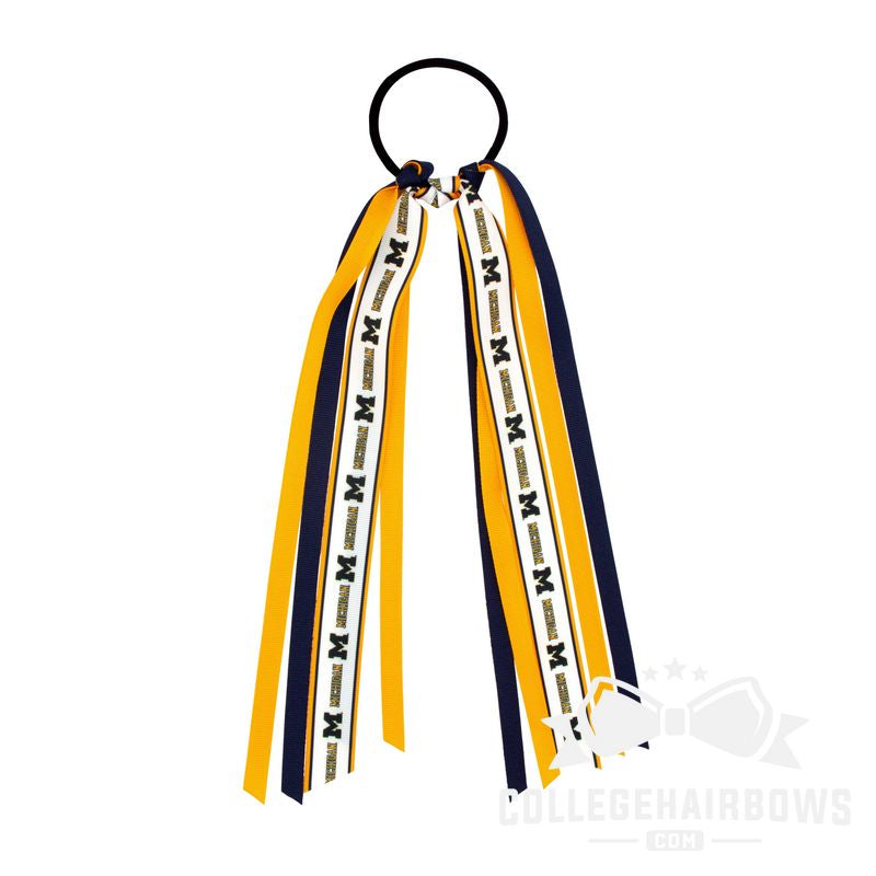 Collegiate Signature Logo Print Streamer Pony