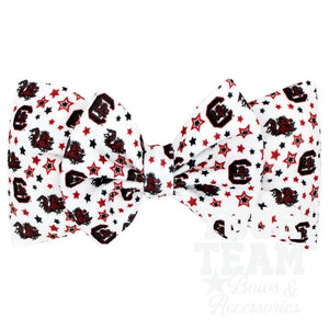 Soft Textured Logo Print South Carolina Baby Band